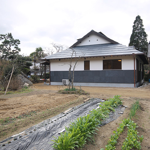 庭から望む外観